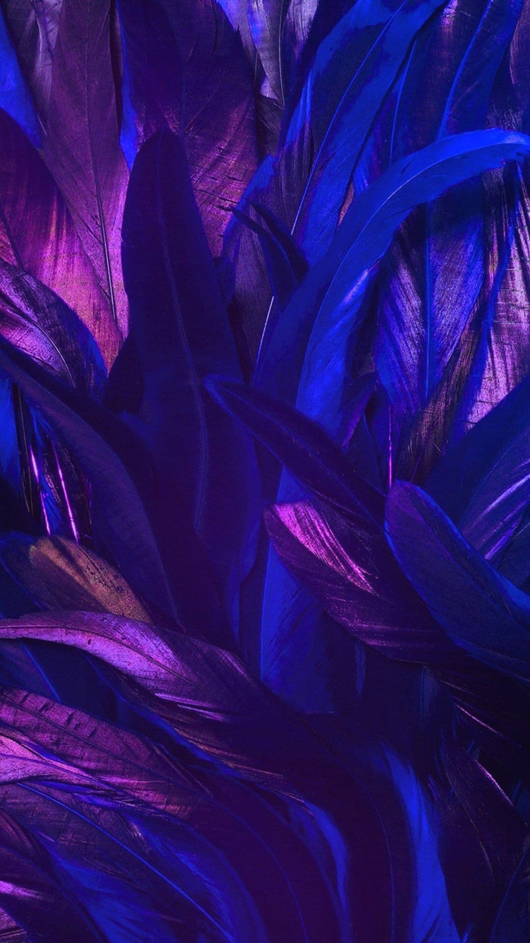 Wallpaper