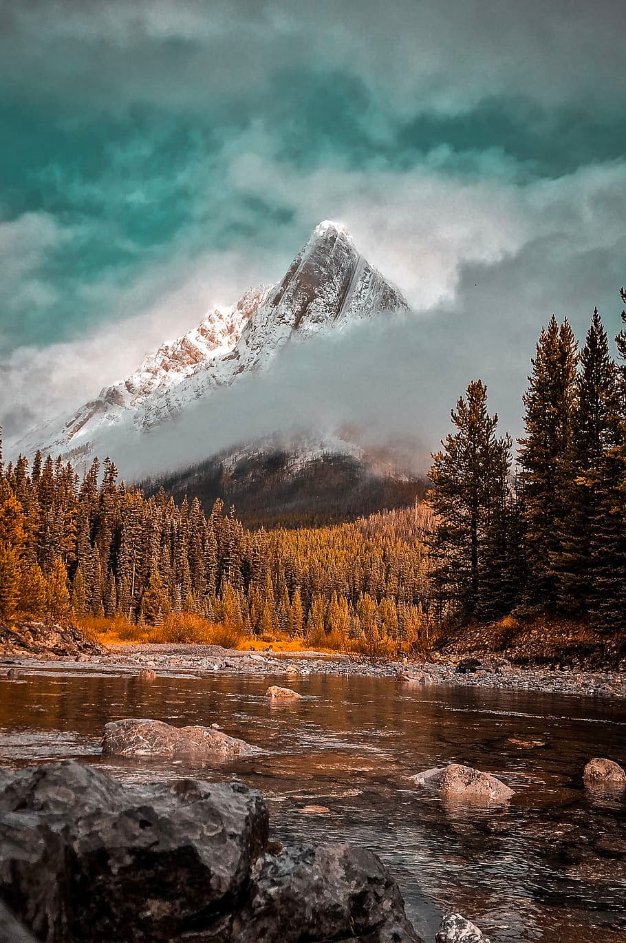 Canada Mount Assiniboine Tree Mountain