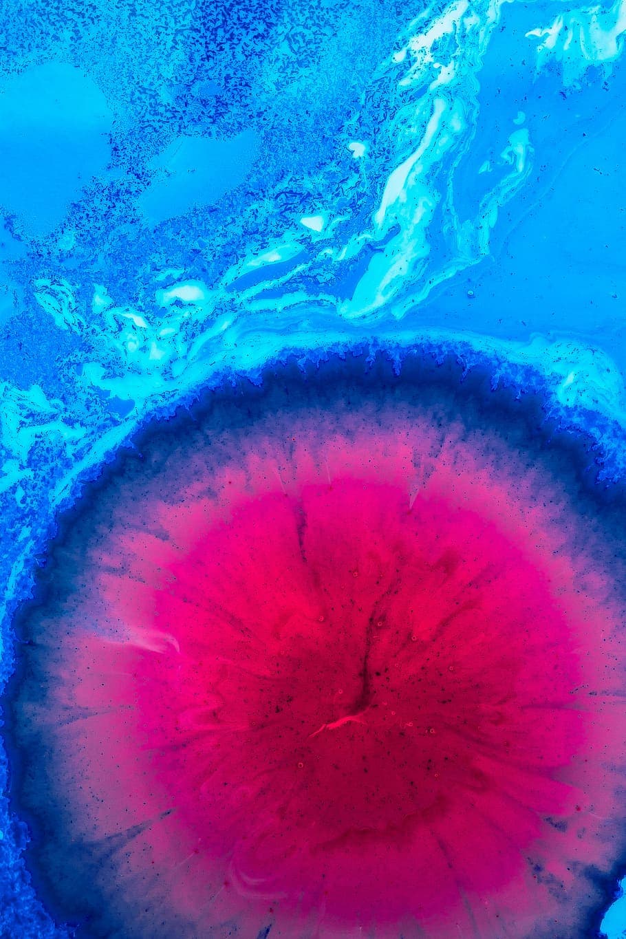 Color Colour Cell Bright