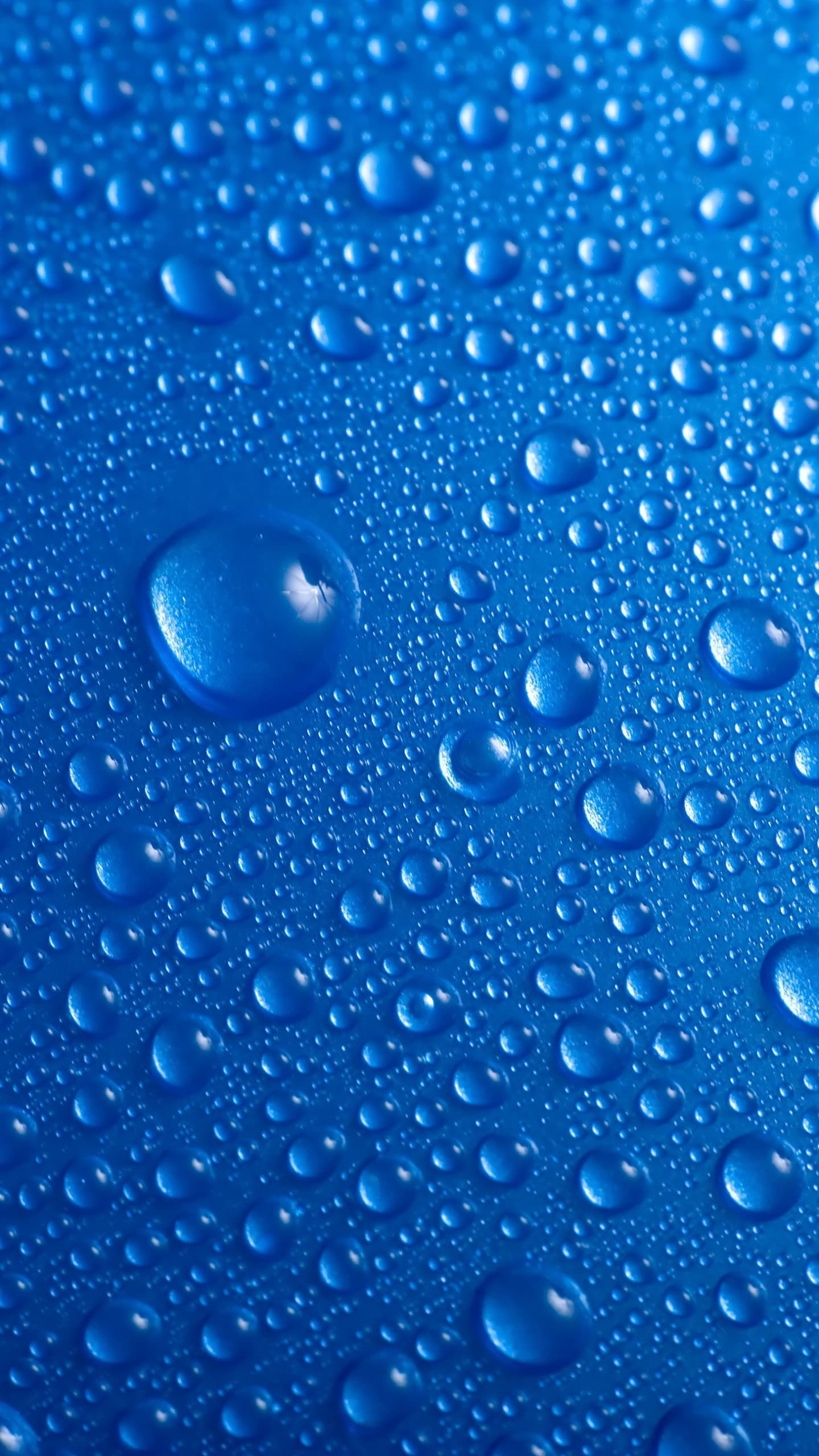 Droplets Blue Background Water Drops x