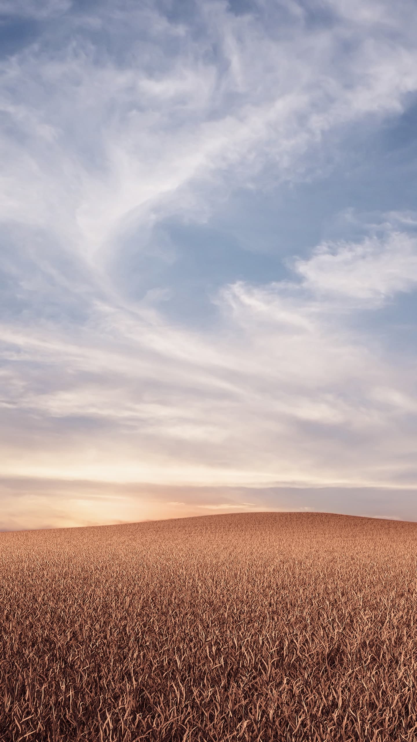 Evening Dusk Landscape Dry Fields x