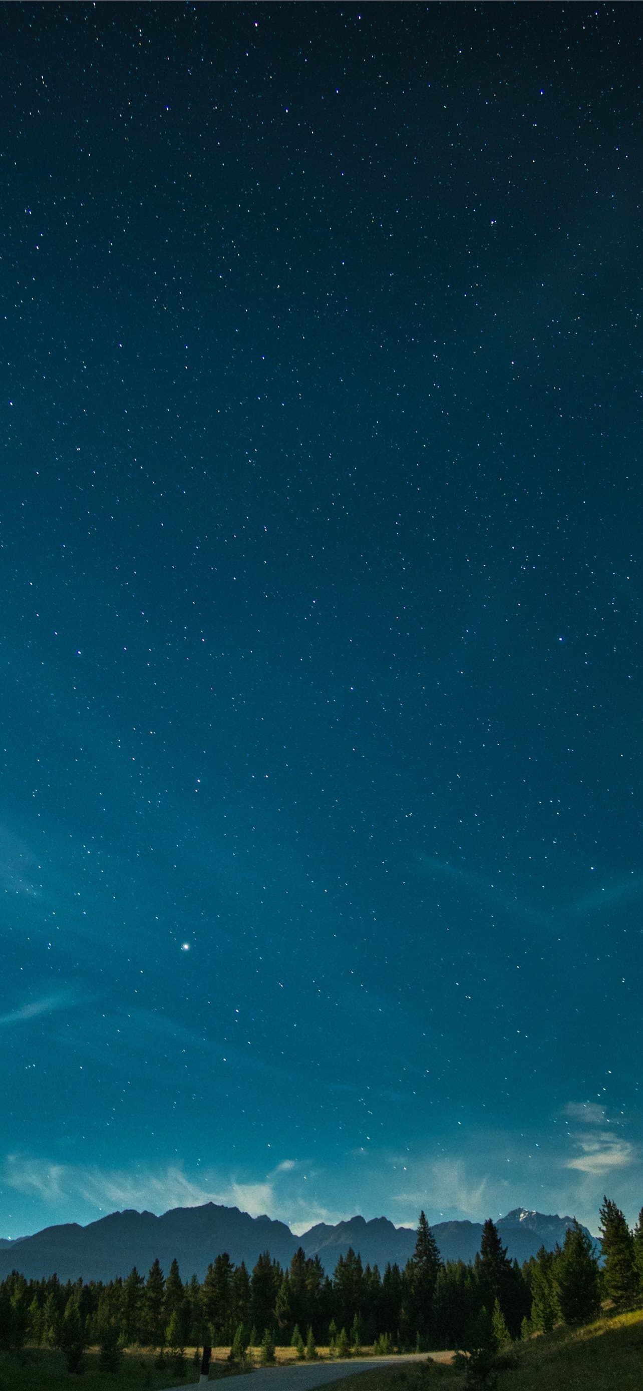 Grass Covered Field And Forest And Mountain At The