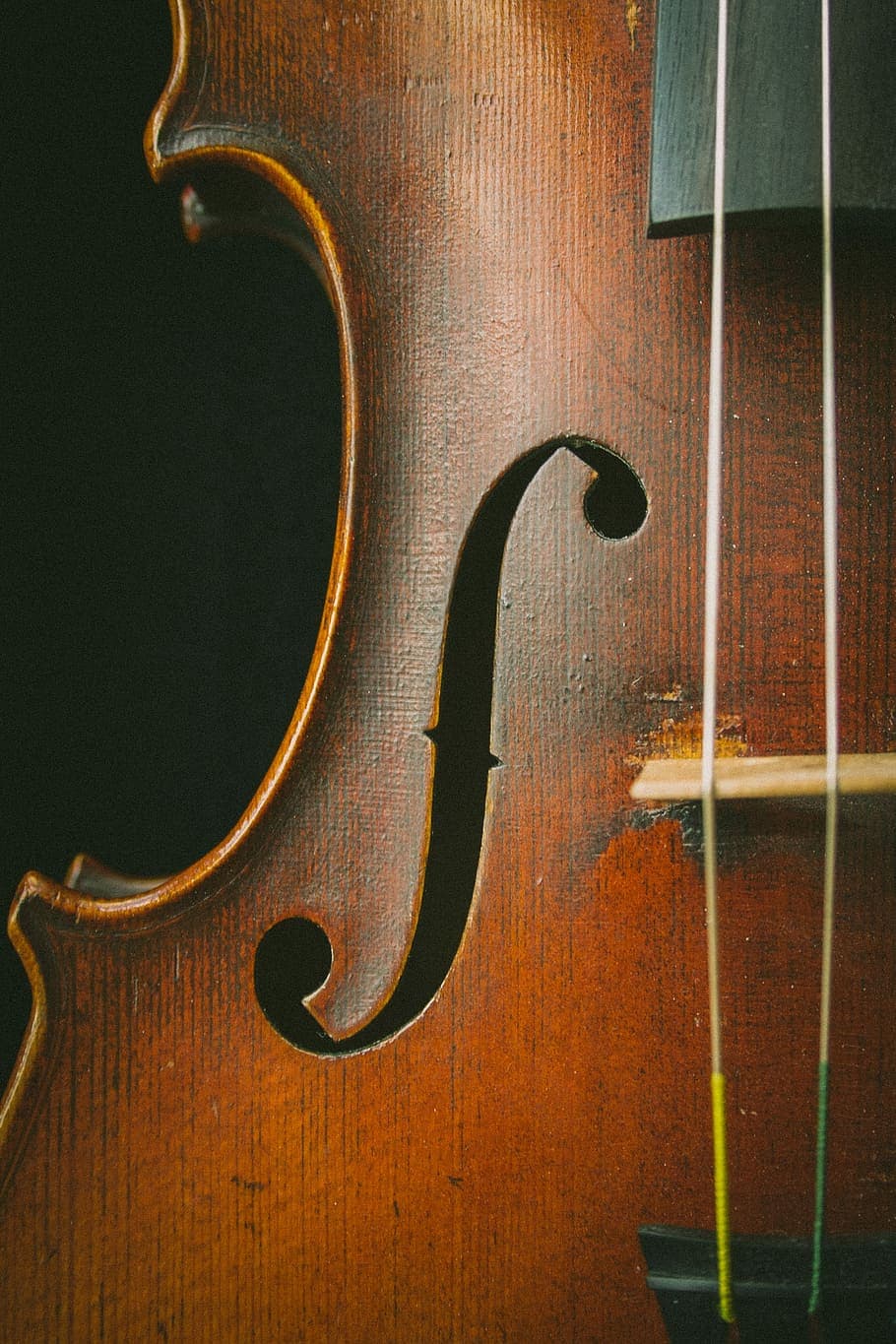 Instrument Violin Viola Cello
