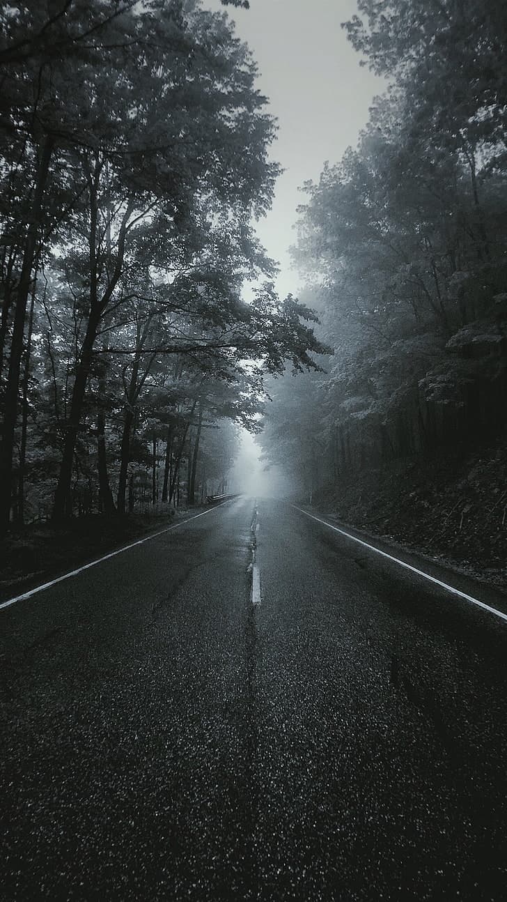 Portrait Display Vertical Landscape Wallpaper Preview