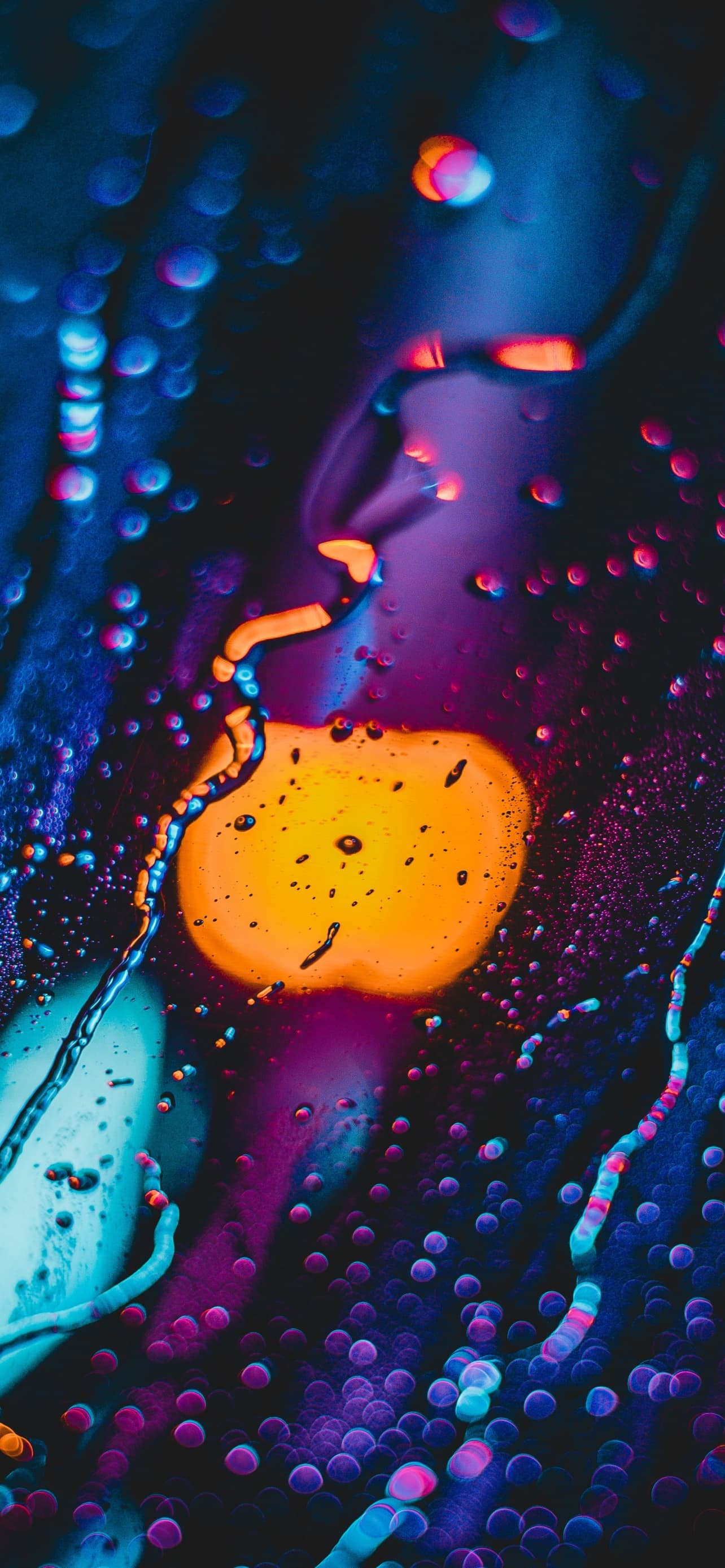 Rain Lights Bokeh Blur Glass Water Drops 5k x