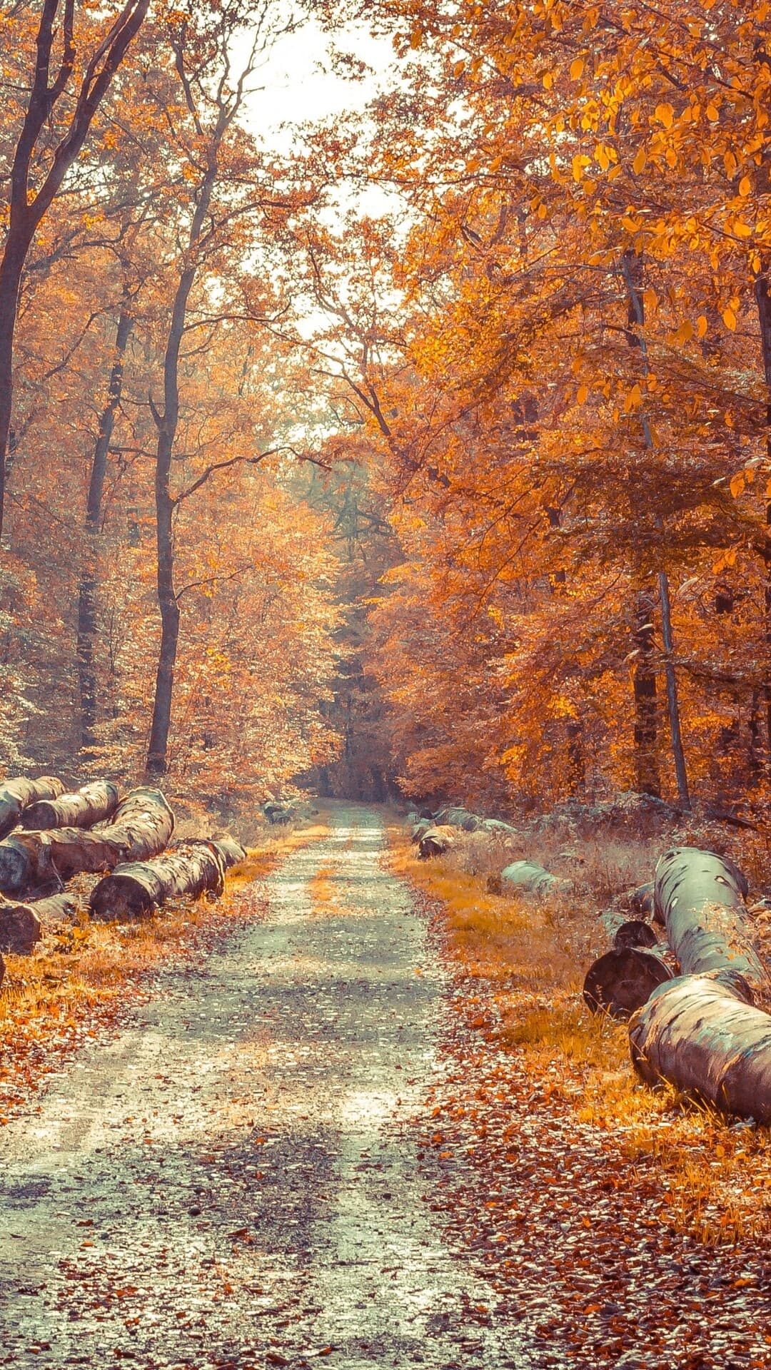 Aesthetic Wallpaper #867