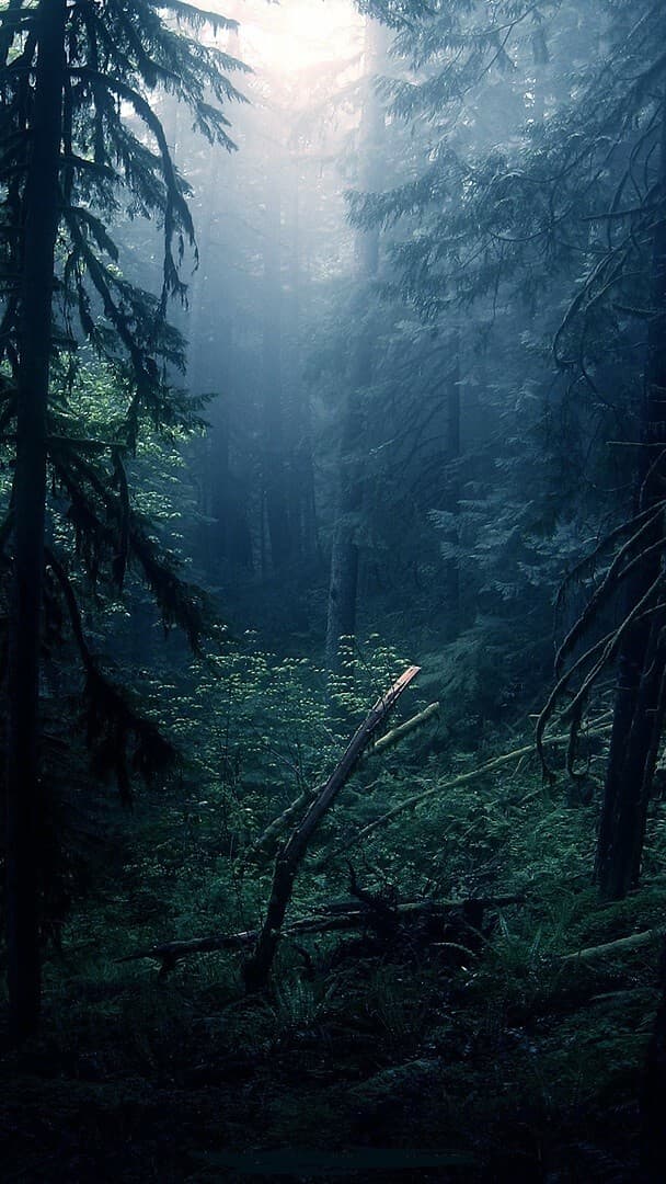 Aesthetic Wallpaper #396