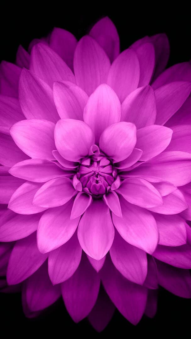 Aesthetic Wallpaper #28