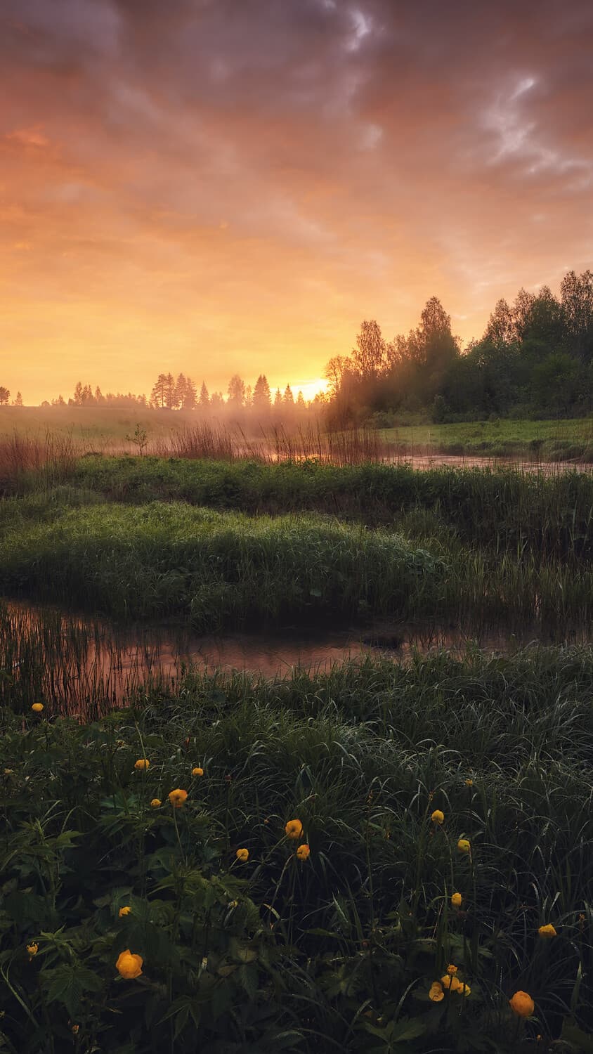 Aesthetic Wallpaper #210