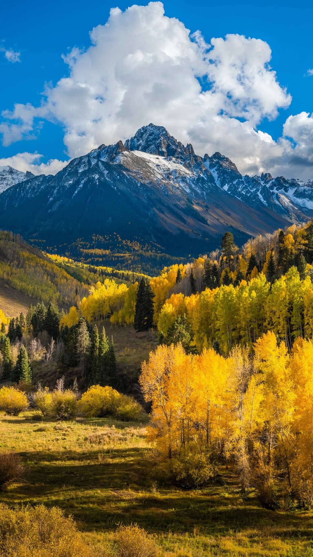 Aesthetic Wallpaper #1892