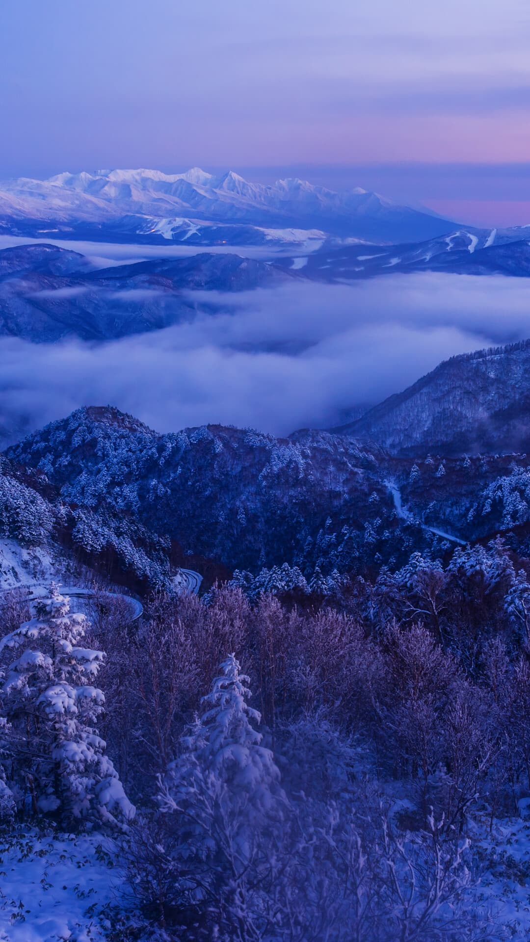 Aesthetic Wallpaper #1535