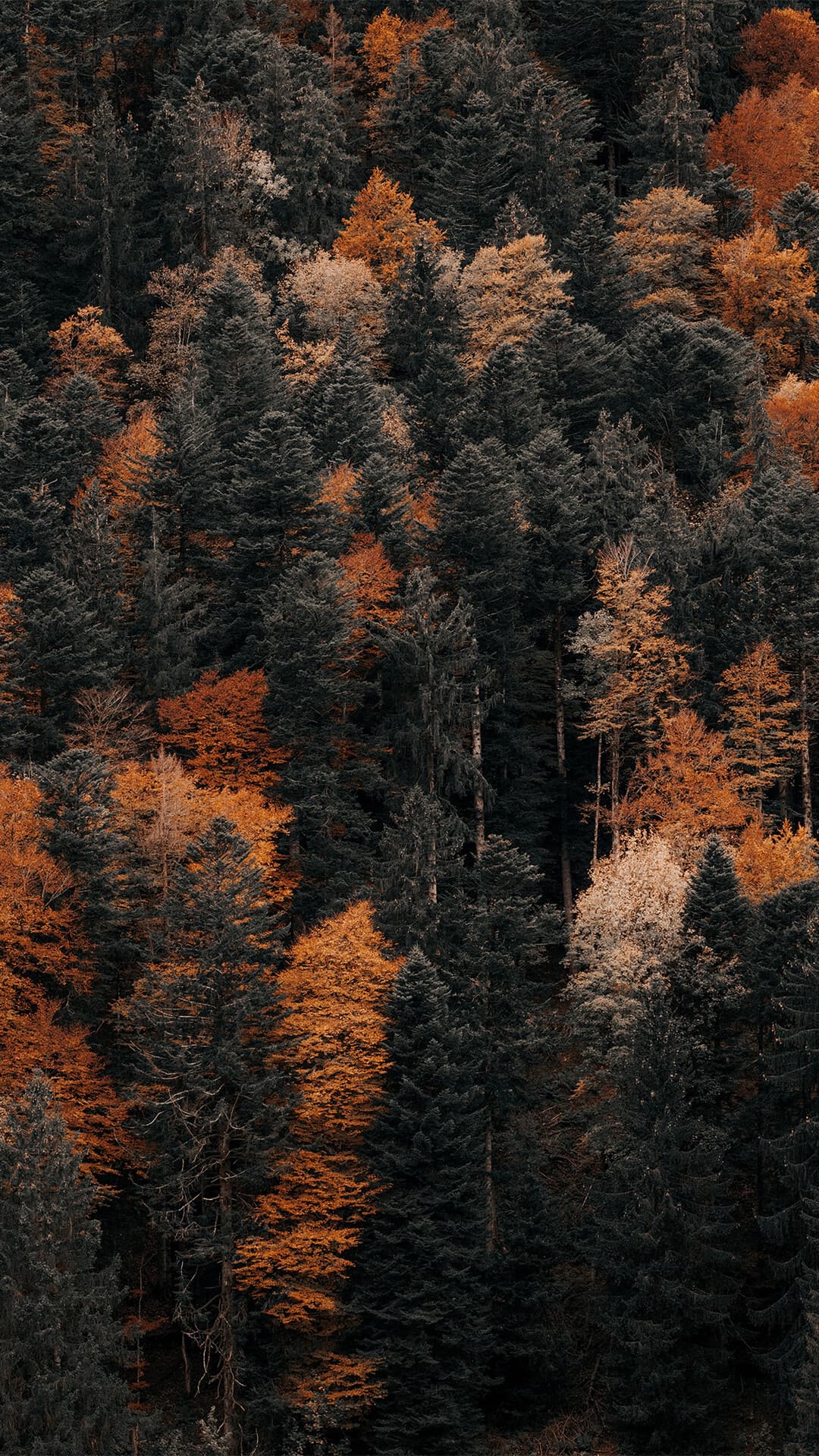 Aesthetic Wallpaper #2687