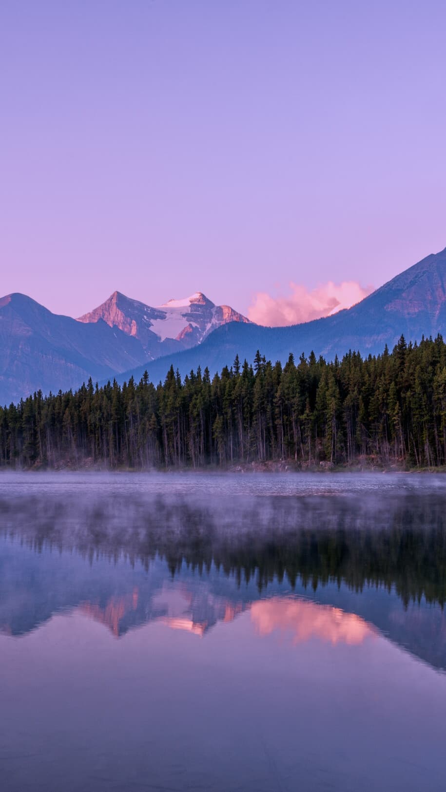 Aesthetic Wallpaper #4921