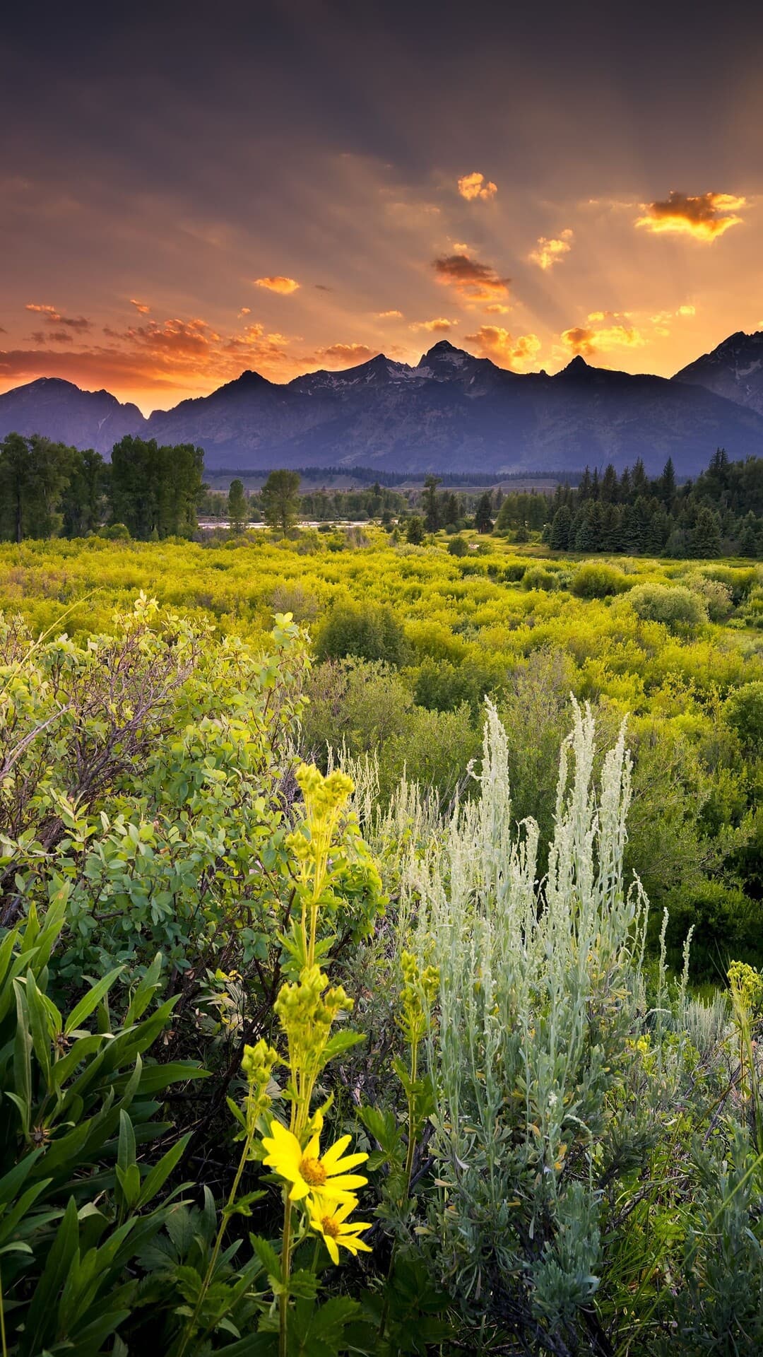 Aesthetic Wallpaper #2466