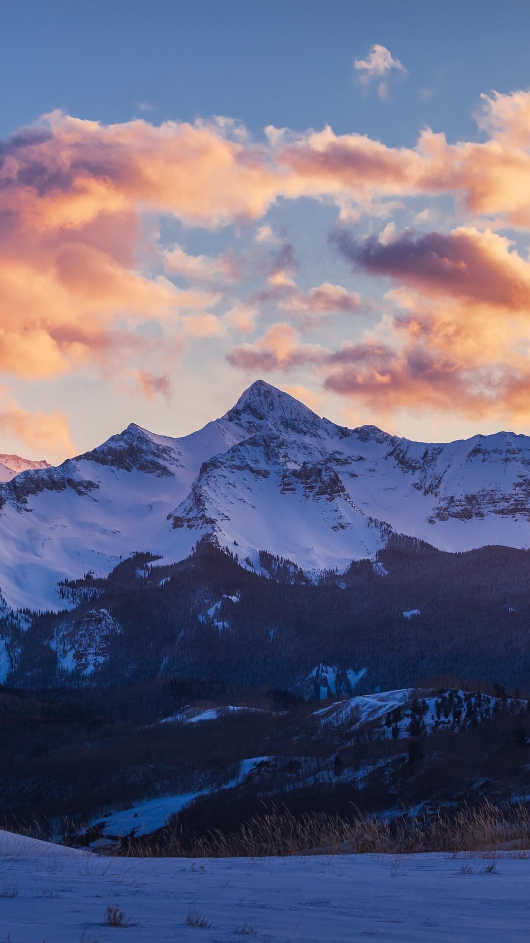 Aesthetic Wallpaper #1771