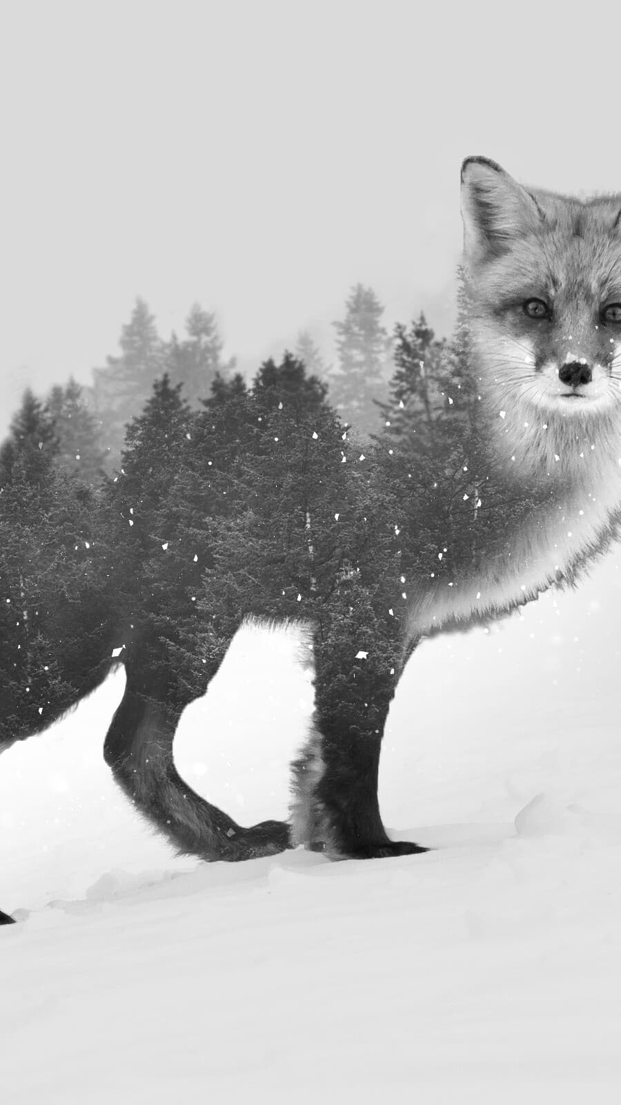 Aesthetic Wallpaper #5327