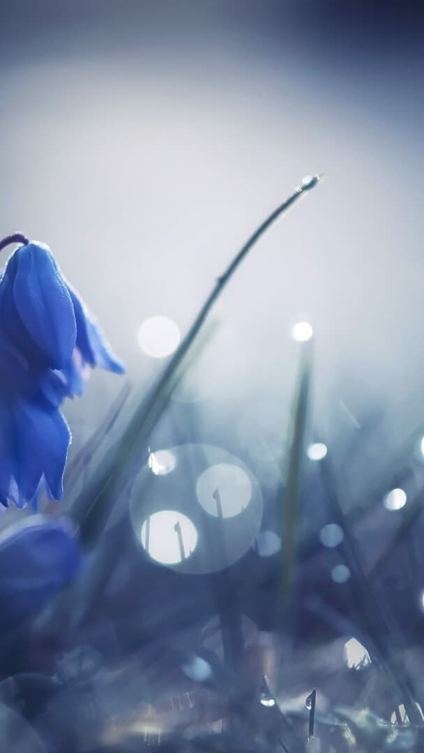 Aesthetic Wallpaper #4532