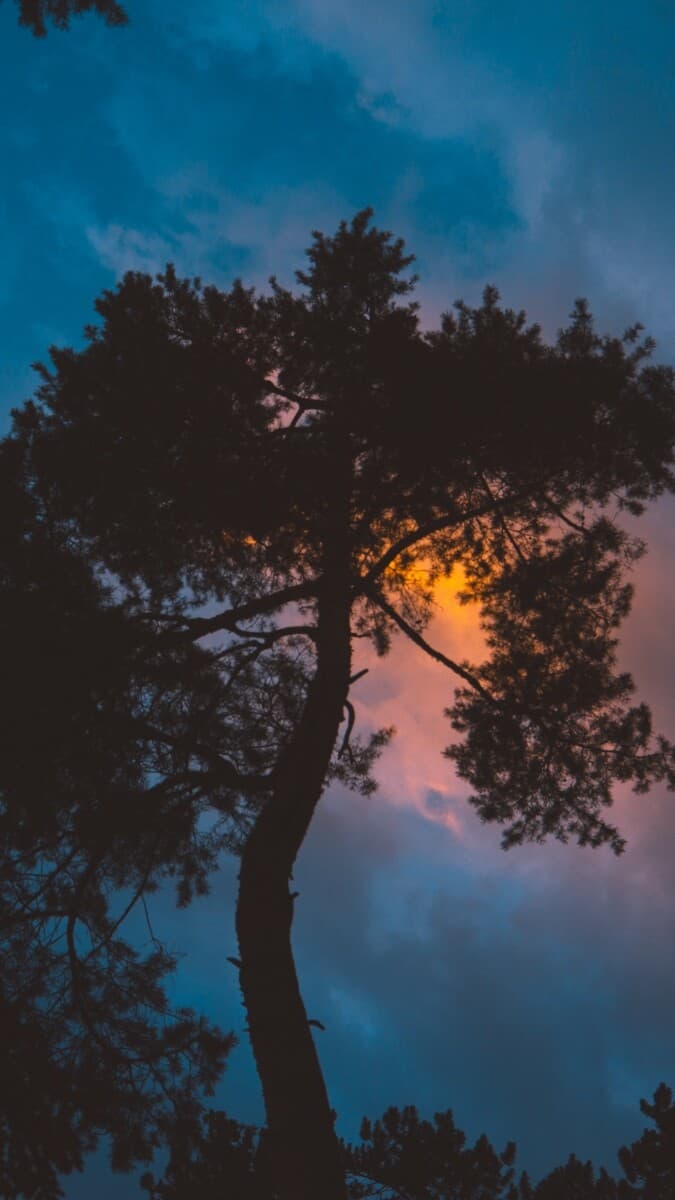 Aesthetic Wallpaper #2762