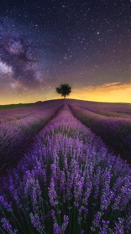 Aesthetic Wallpaper #3247