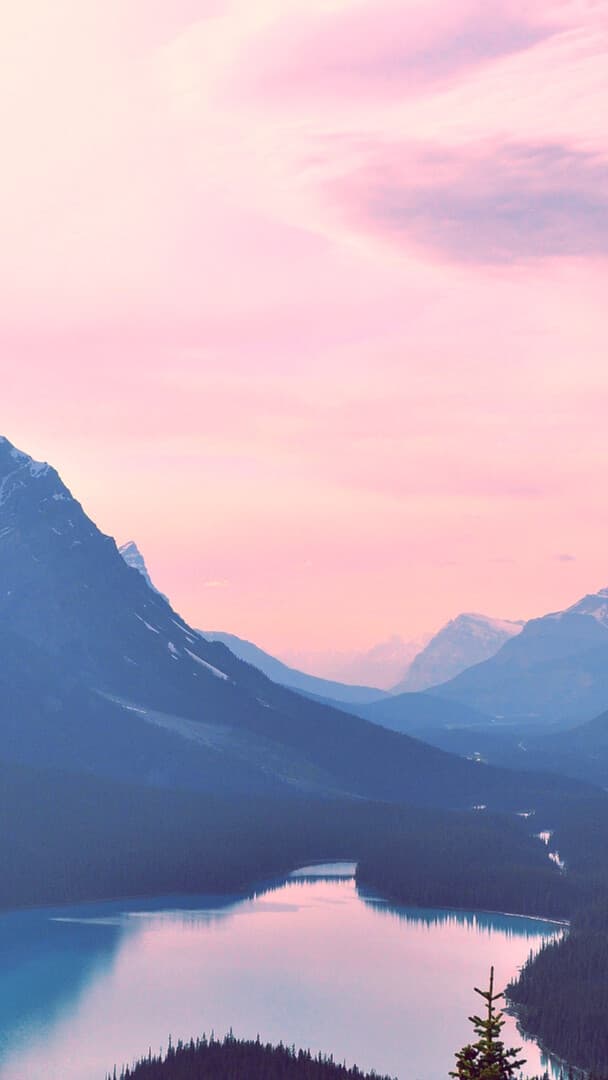 Aesthetic Wallpaper #4313