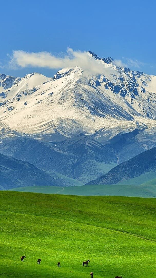 Aesthetic Wallpaper #1126