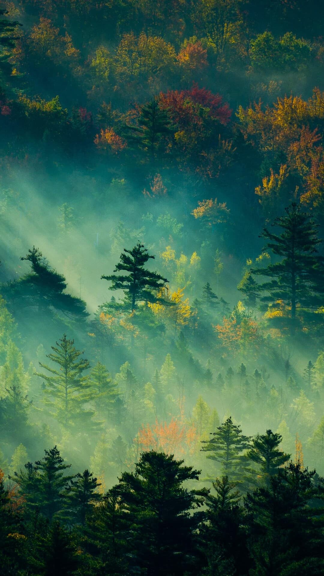 Aesthetic Wallpaper #4898