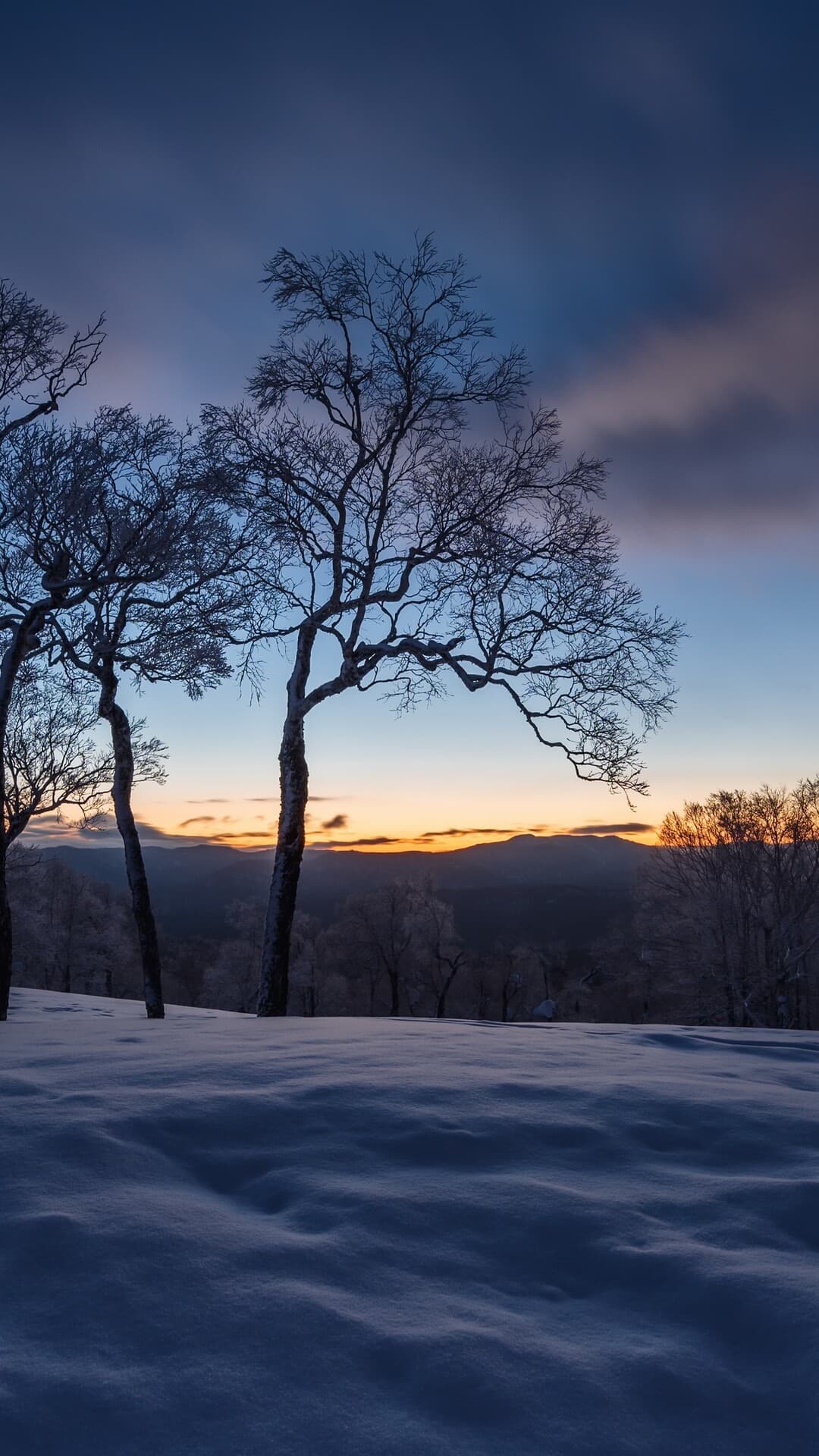 Aesthetic Wallpaper #1618