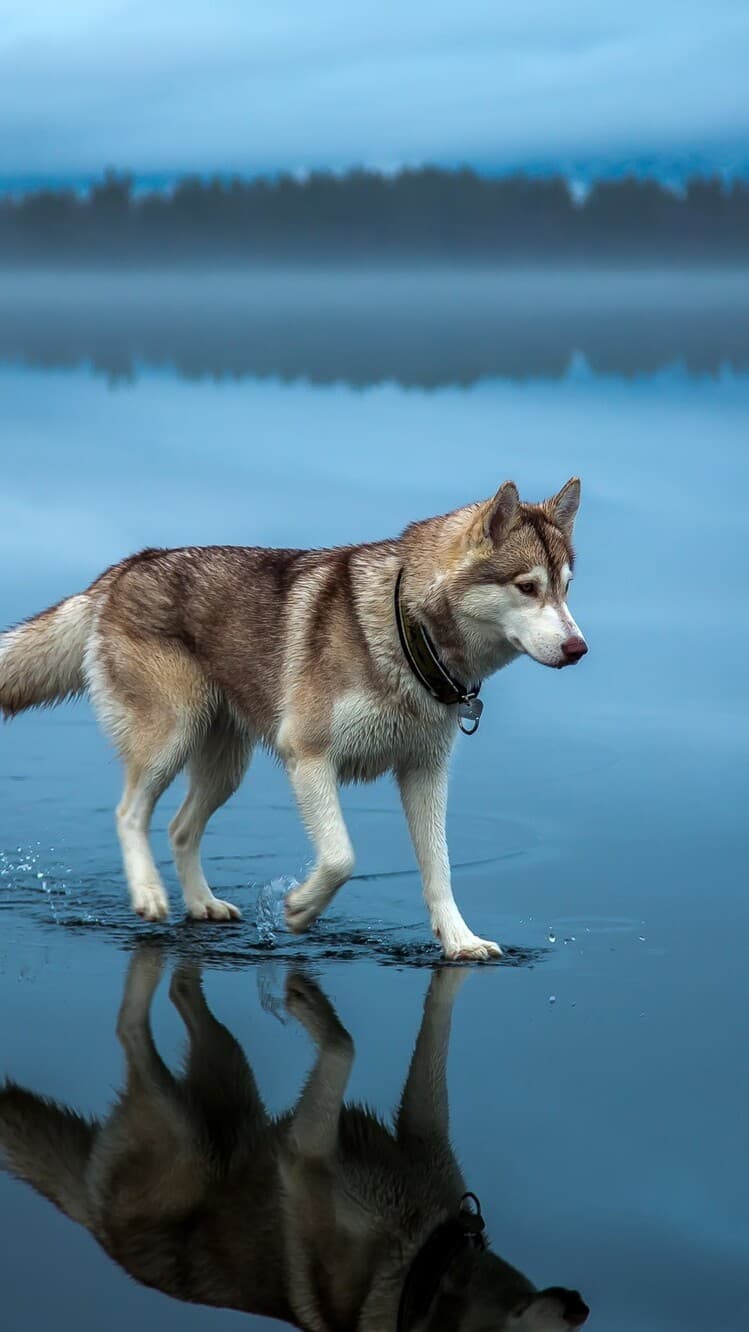 Aesthetic Wallpaper #5110