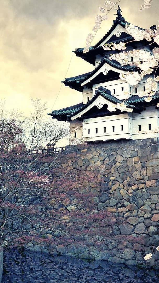 Aesthetic Wallpaper #3133