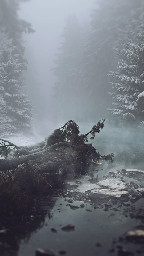 Aesthetic Wallpaper #2591