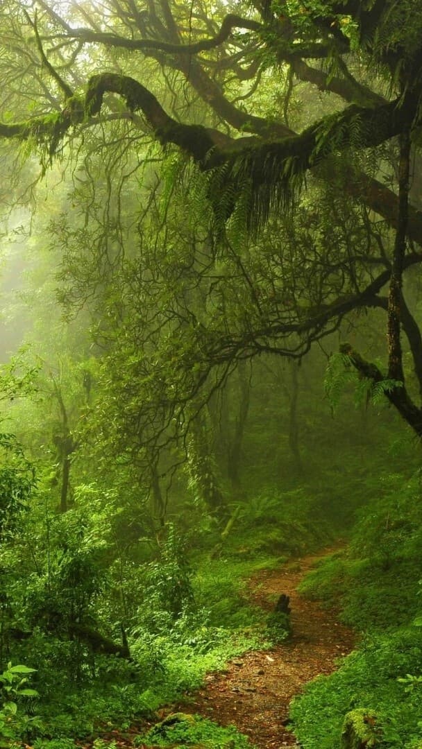 Aesthetic Wallpaper #4931