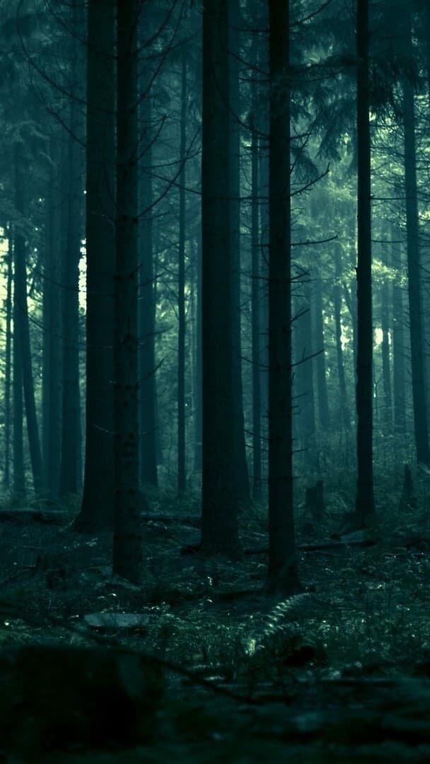 Aesthetic Wallpaper #4982