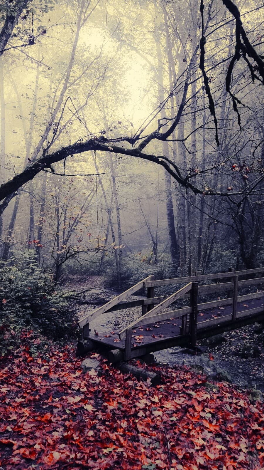 Aesthetic Wallpaper #2274