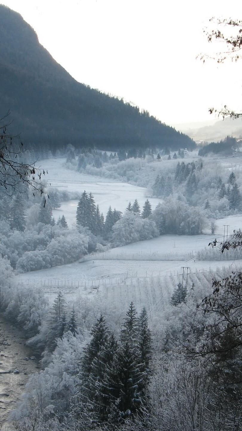 Aesthetic Wallpaper #3455