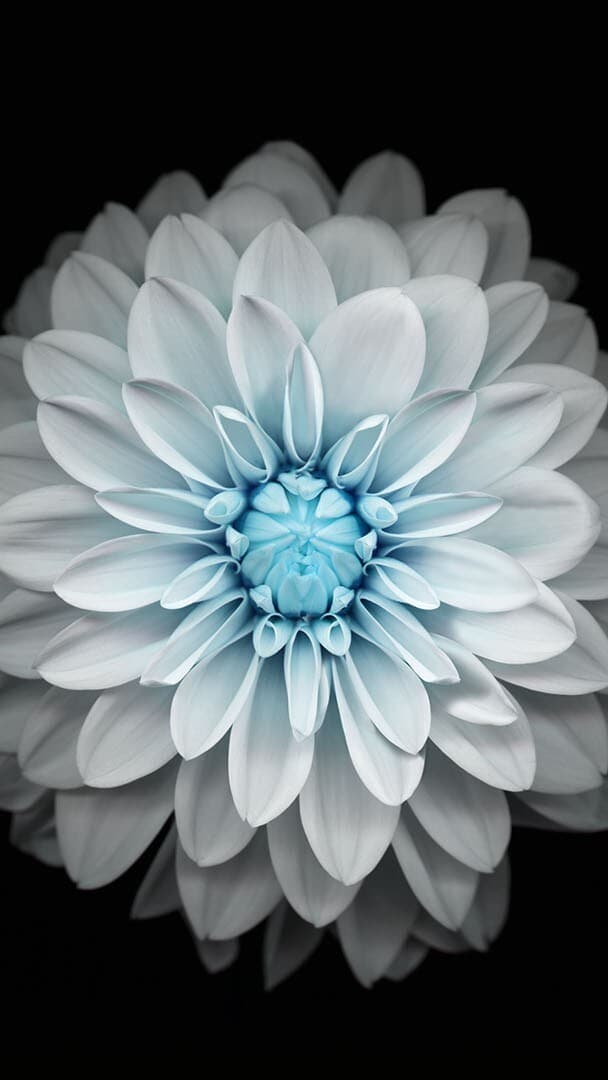 Aesthetic Wallpaper #222