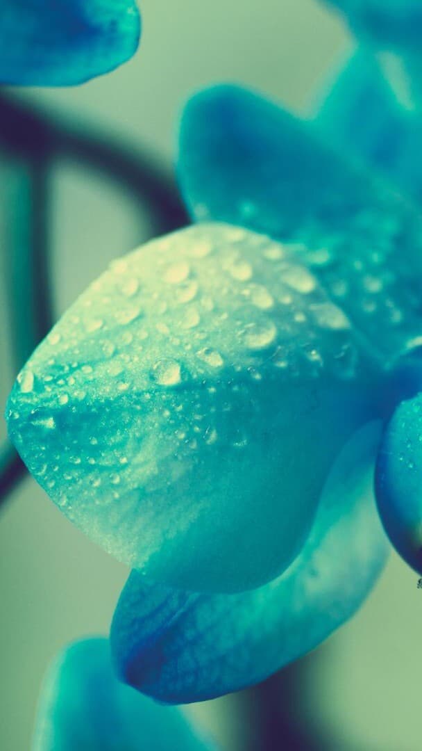 Aesthetic Wallpaper #2938