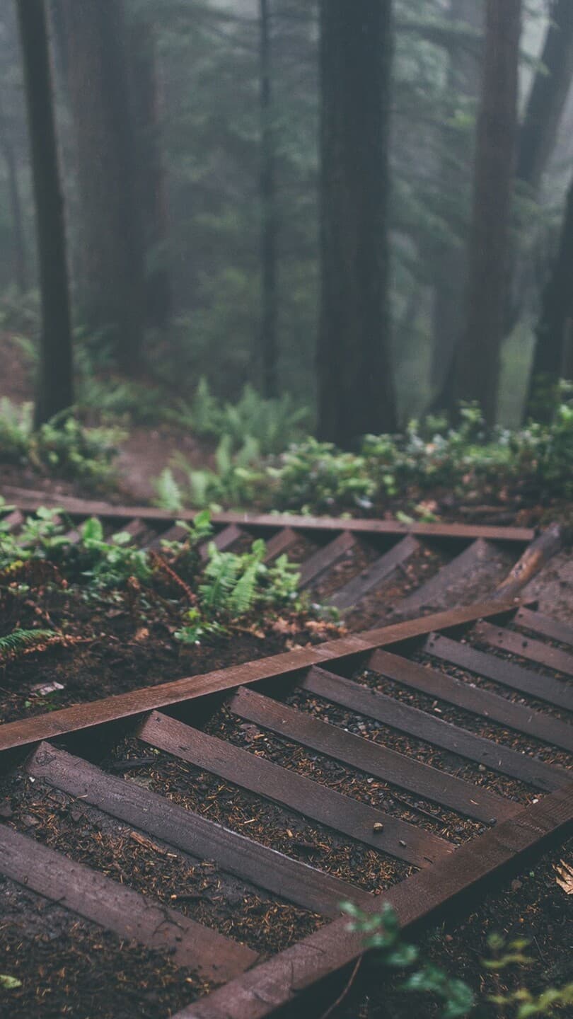 Aesthetic Wallpaper #711