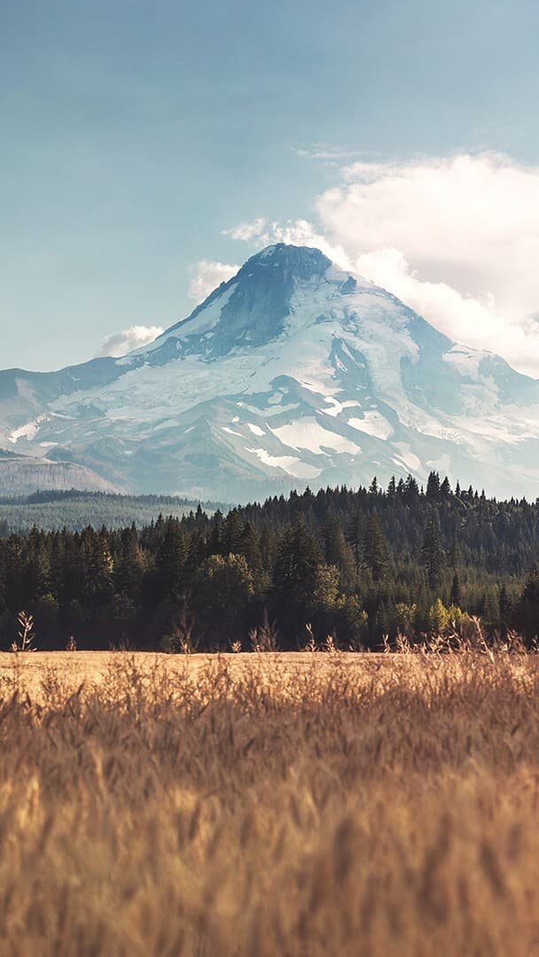 Aesthetic Wallpaper #2437