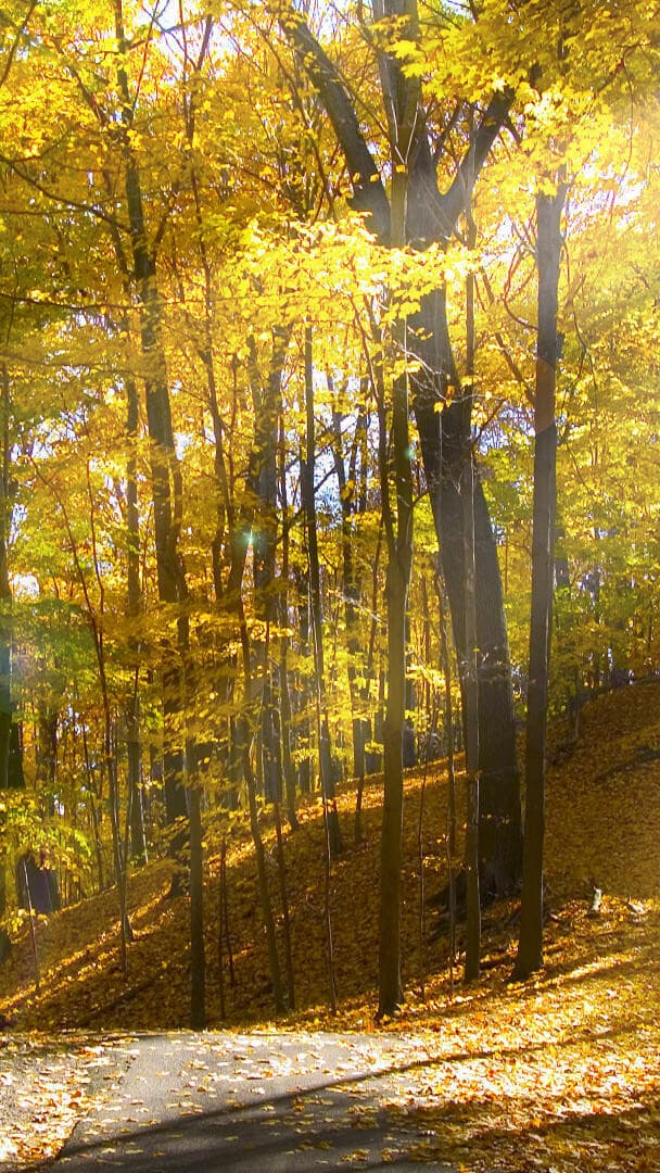 Aesthetic Wallpaper #3889