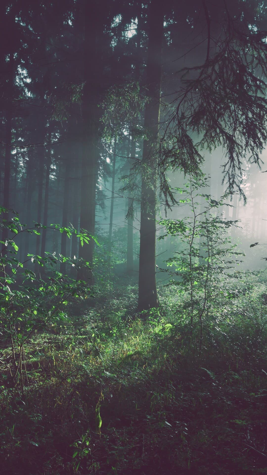 Aesthetic Wallpaper #610