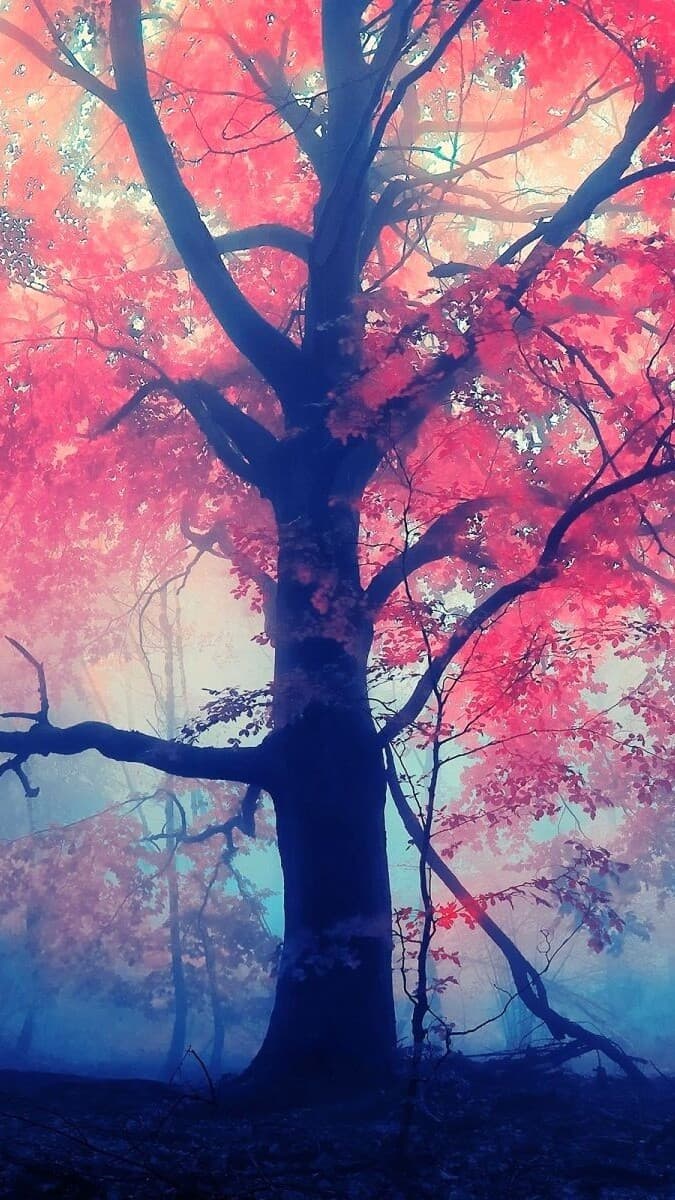 Aesthetic Wallpaper #4370