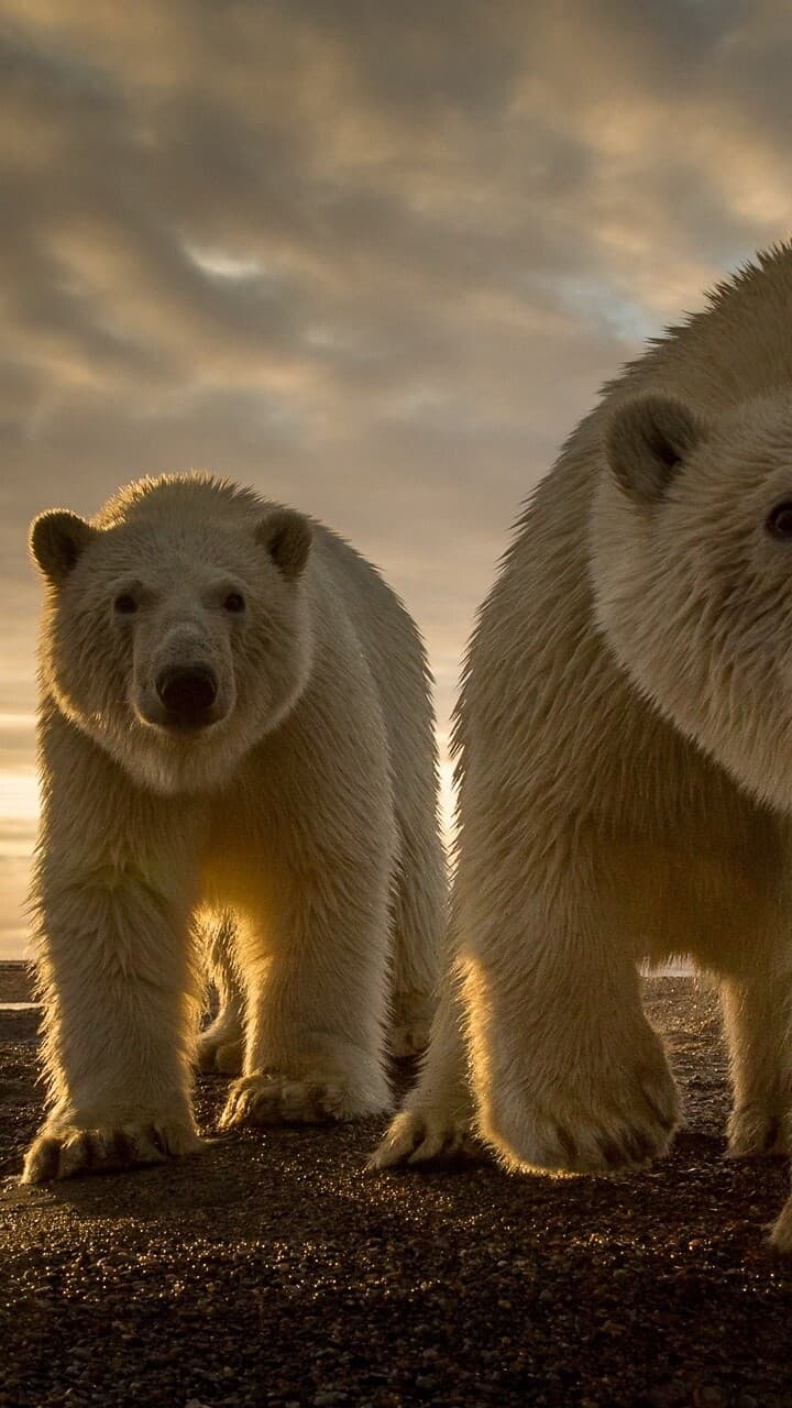 Aesthetic Wallpaper #1055