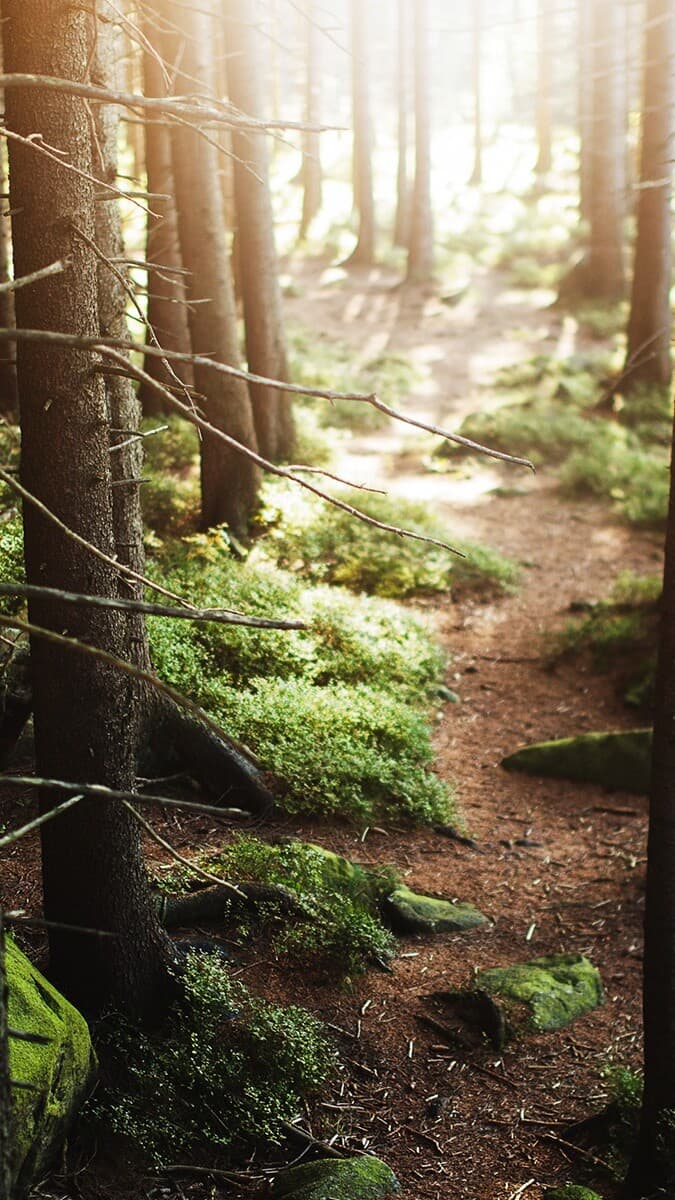 Aesthetic Wallpaper #3278