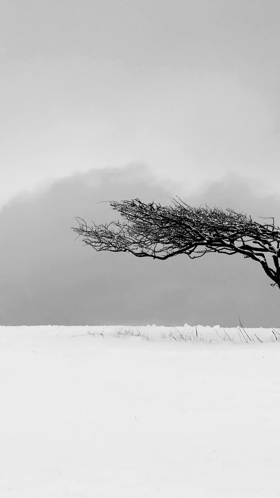 Aesthetic Wallpaper #4023