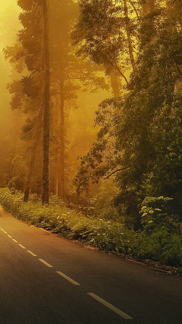 Aesthetic Wallpaper #4387