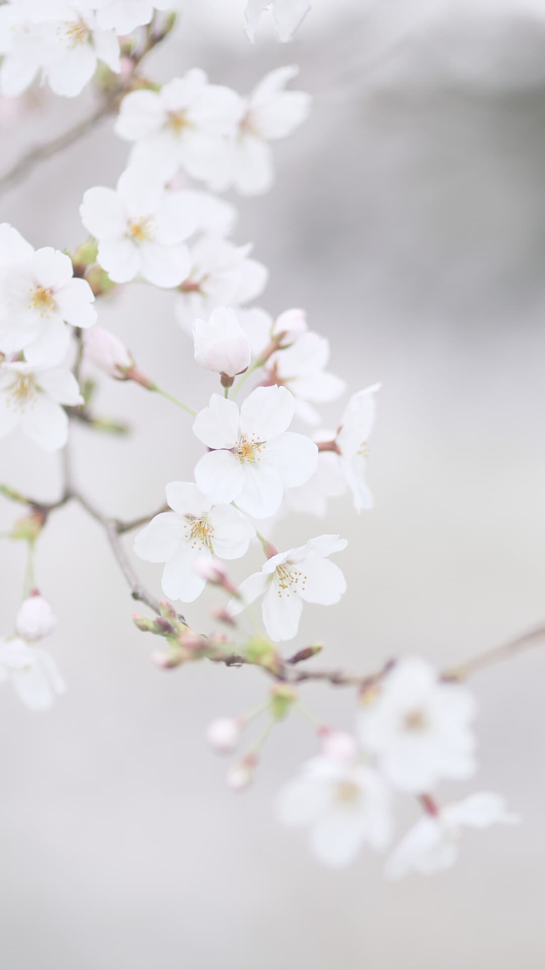 Aesthetic Wallpaper #550