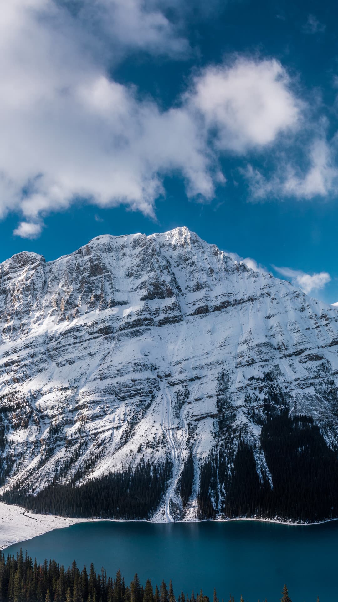 Aesthetic Wallpaper #859