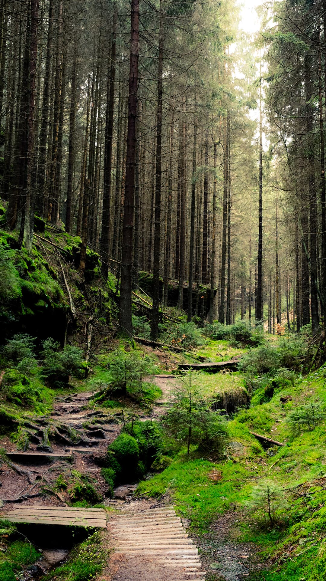 Aesthetic Wallpaper #5282