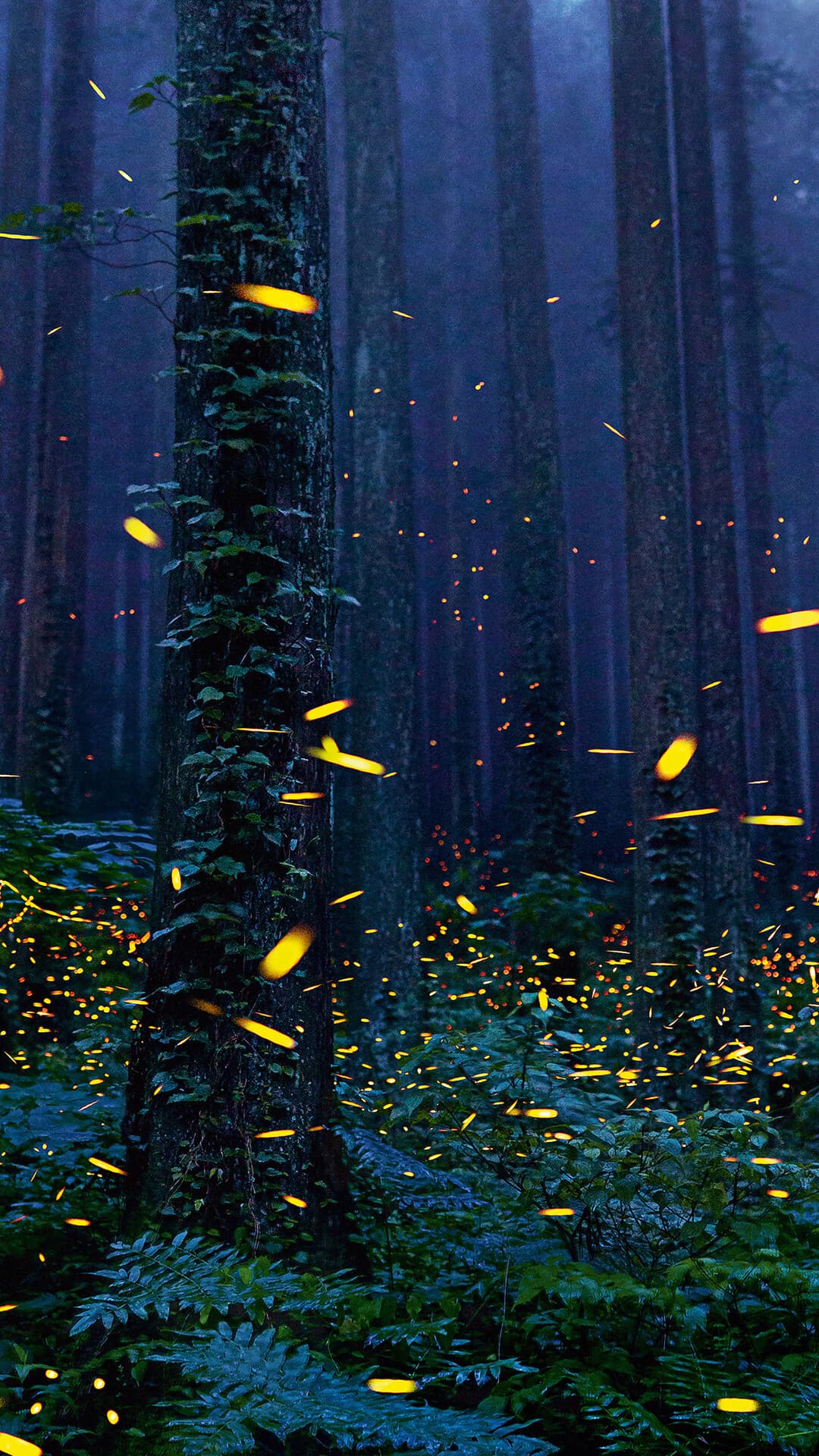 Aesthetic Wallpaper #42