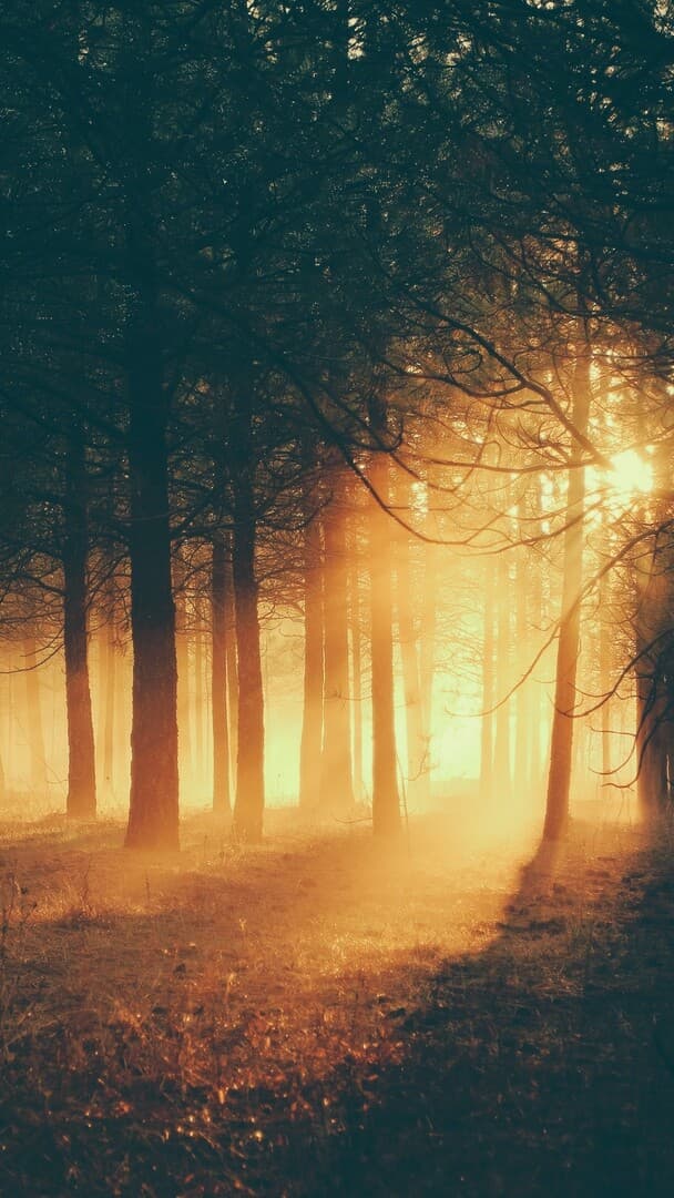 Aesthetic Wallpaper #4816